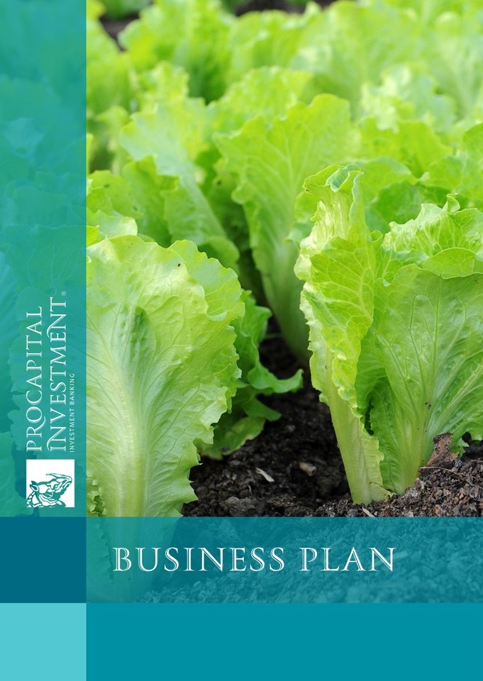 Business plan for the construction of a greenhouse complex for growing a salad